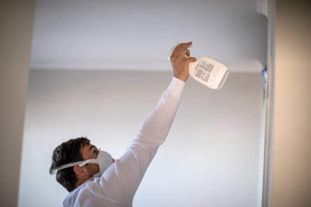 Best Crawl Space Mold Removal  in Kingston, NY