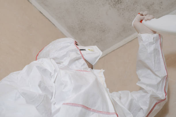 Best Residential Mold Removal  in Kingston, NY